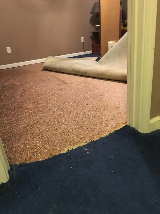 Carpet pad removal revealing water damage during Drying & Dehumidification in Taylor