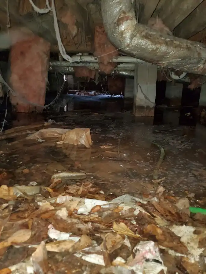 Crawl space flood assessment for Leak Detection & Repair in Taylor