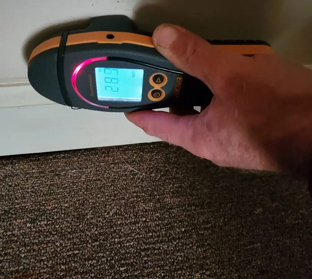 Moisture detection at baseboard during Mold Inspection & Testing in Taylor